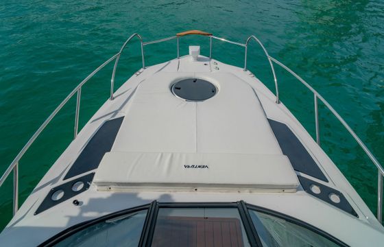 Ventura V300 Daycruiser