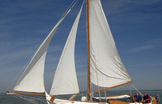 Vollenhovense Bol 8.5 Bolero