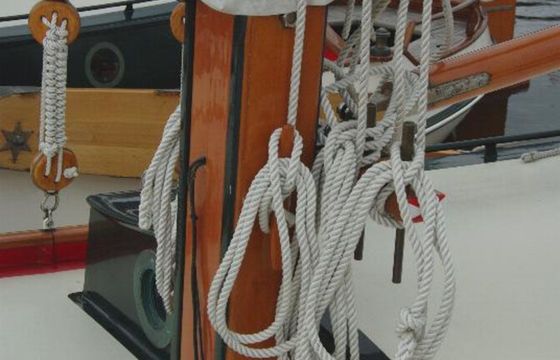 Vollenhovense Bol 8.5 Bolero