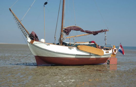 Vollenhovense Bol 8.5 Bolleke