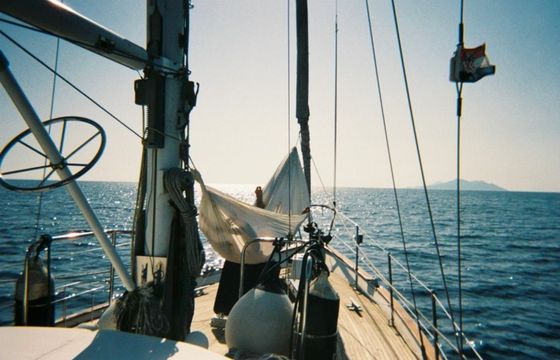 Trintella 5 Trinity 369