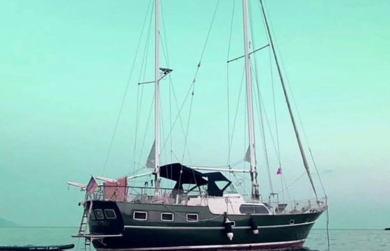 Trintella 5 Trinity 369