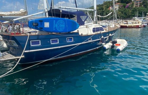 Trintella 5 Trinity 369
