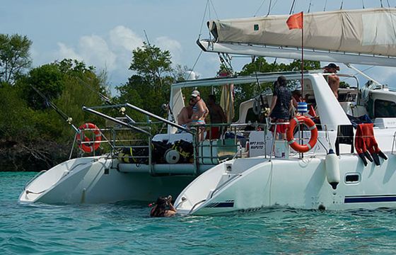 Voyage 500 Walkabout