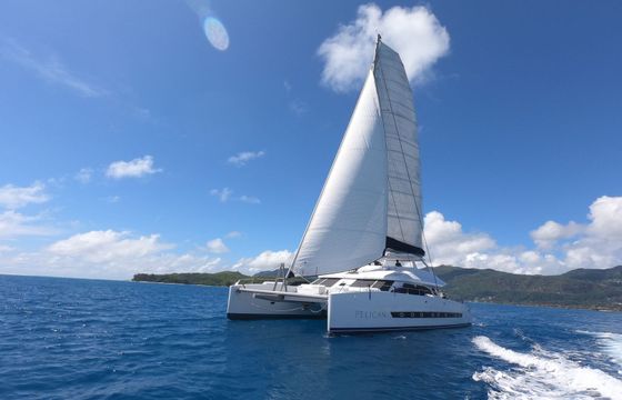 Two Oceans 63 Pelican
