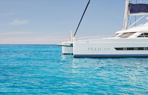 Two Oceans 63 Pelican