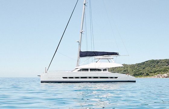 Two Oceans 63 Pelican