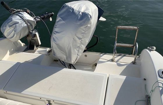 VTR Lady 550 Lady 2
