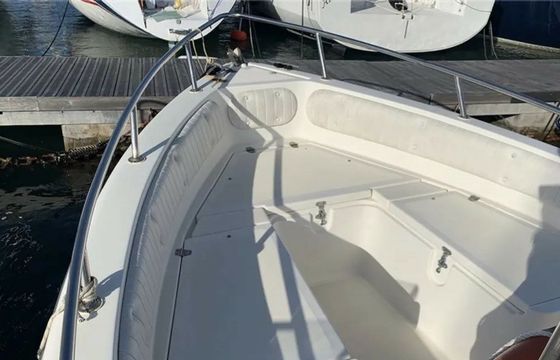 VTR Lady 550 Lady 2