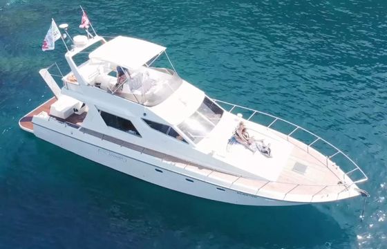 VZ 50 Fly Futura