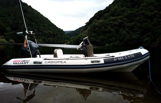 Valiant 450 Casiopea