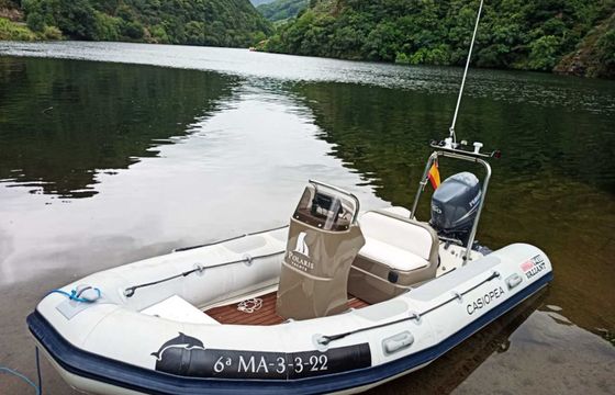 Valiant 450 Casiopea