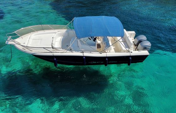 White Shark 285 Saga 3