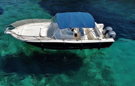 White Shark 285 Saga 3