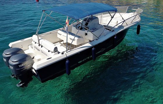 White Shark 285 Saga 3