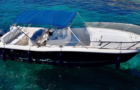 White Shark 285 Saga 3