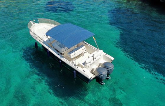 White Shark 285 Saga 3