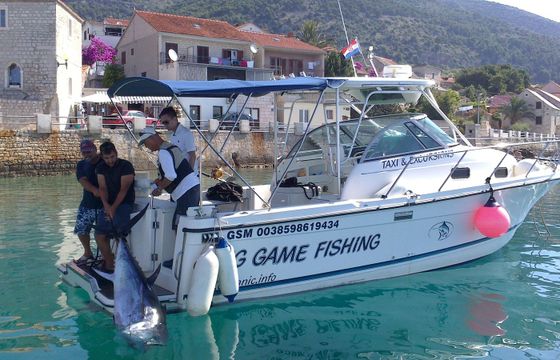 Trophy 2802 Kokotic 2
