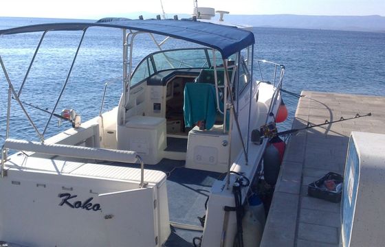 Trophy 2802 Kokotic 2