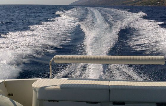 Trophy 2802 Kokotic 2