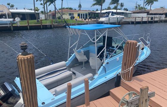 Wellcraft 250 Sport