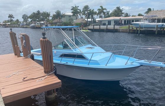 Wellcraft 250 Sport