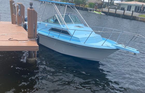 Wellcraft 250 Sport