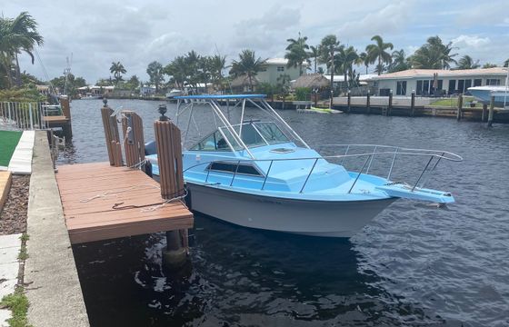 Wellcraft 250 Sport