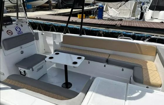 YachtCat 33 Magnus