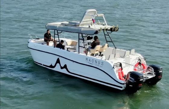 YachtCat 33 Magnus