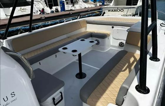 YachtCat 33 Magnus