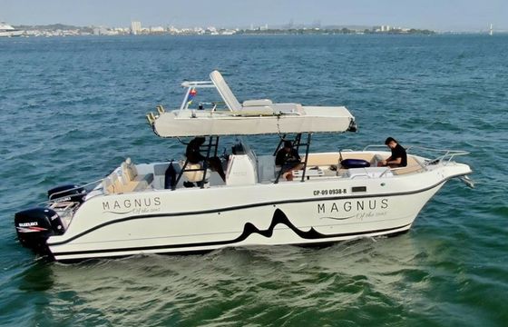 YachtCat 33 Magnus