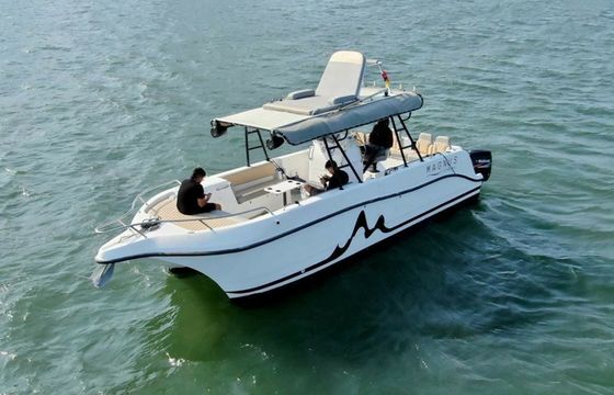 YachtCat 33 Magnus