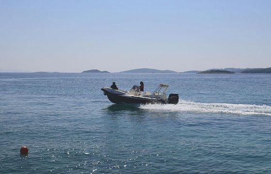 Zar 61 Formenti