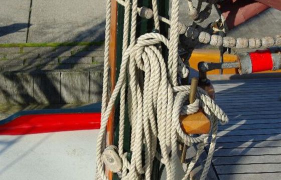 Zeeuwse Schouw 8 Vertrouwen