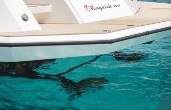 Vanquish 54 Diva
