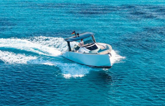 Tesoro T40 Tigresa