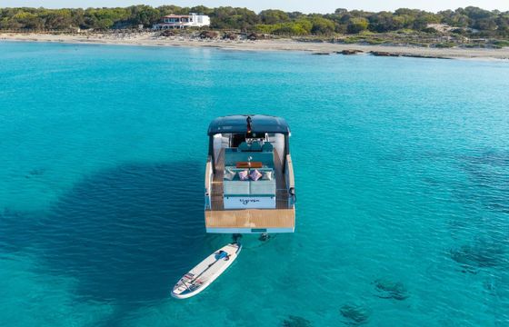 Tesoro T40 Tigresa