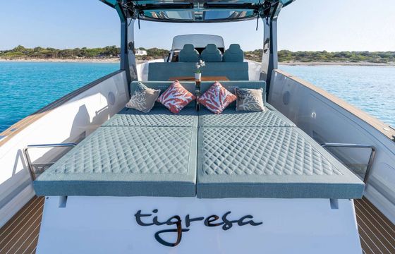 Tesoro T40 Tigresa