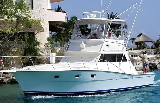 Viking 40 Berzerker