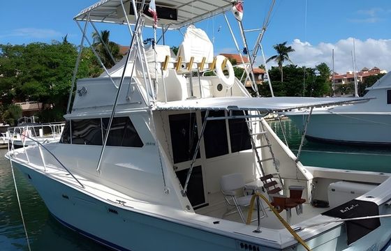 Viking 40 Berzerker