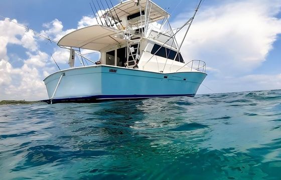 Viking 40 Berzerker