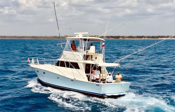 Viking 40 Berzerker