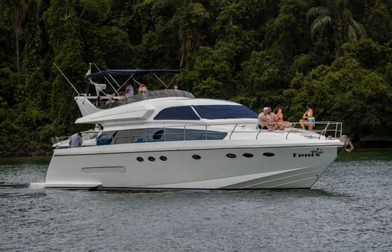 Technema 60 Fenix