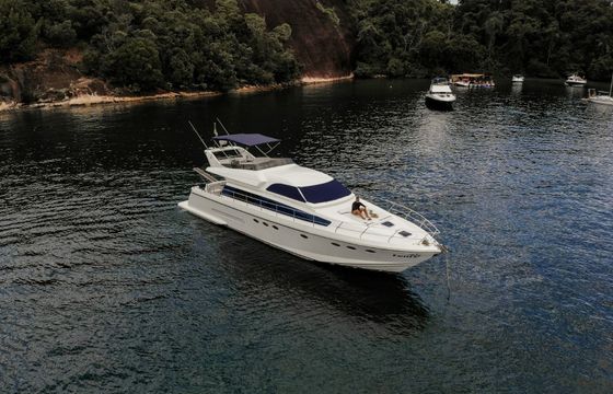 Technema 60 Fenix