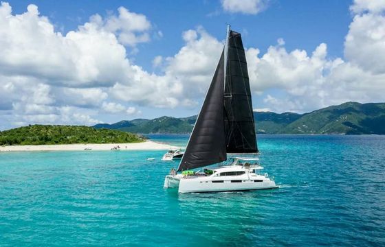 Voyage 590 Electric Celestine