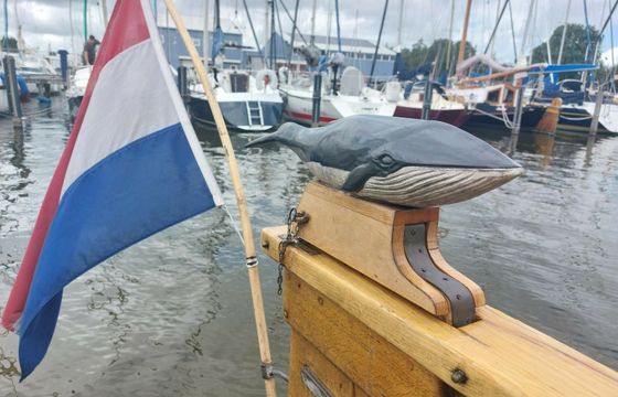 Vollenhovense Bol 9.50 Walvisch