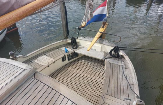 Vollenhovense Bol 9.50 Walvisch