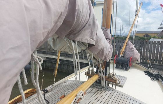Vollenhovense Bol 9.50 Walvisch