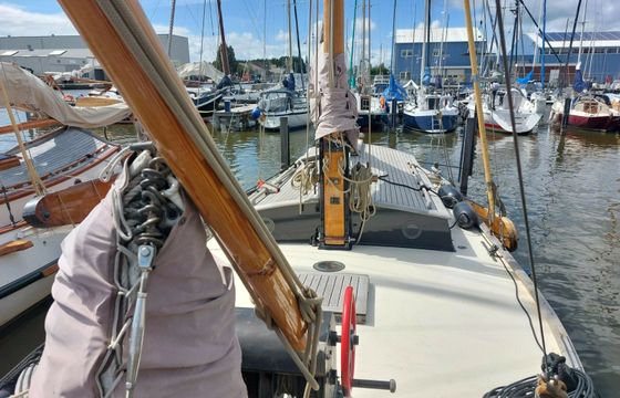 Vollenhovense Bol 9.50 Walvisch